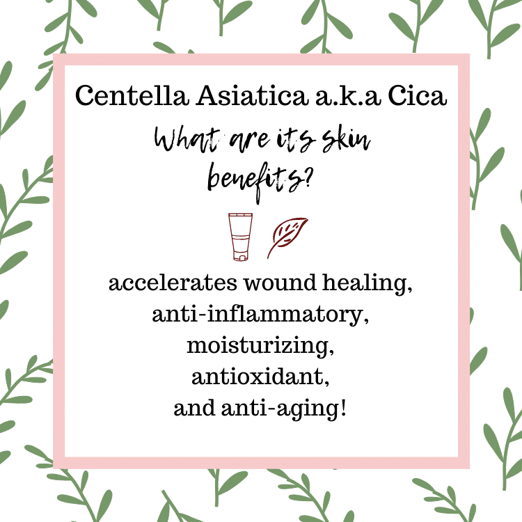 What are the skin benefits of Centella Asiatica for acne-prone skin?