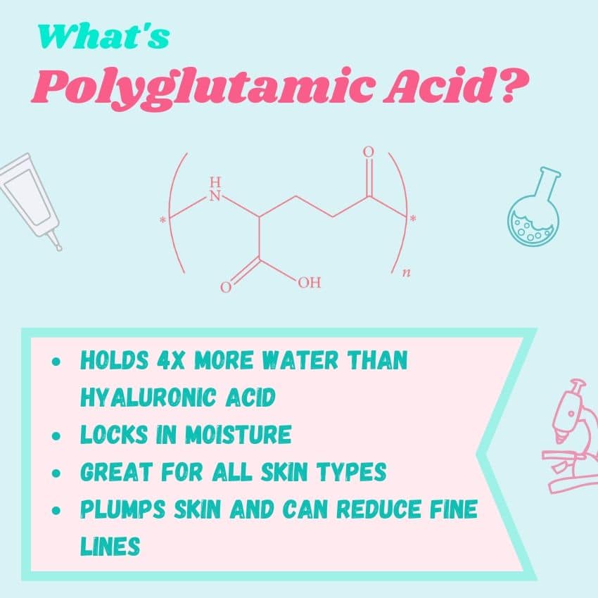 Benefits of Polyglutamic Acid